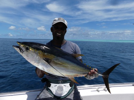 Maldiverna 2018 Bluefin trevally